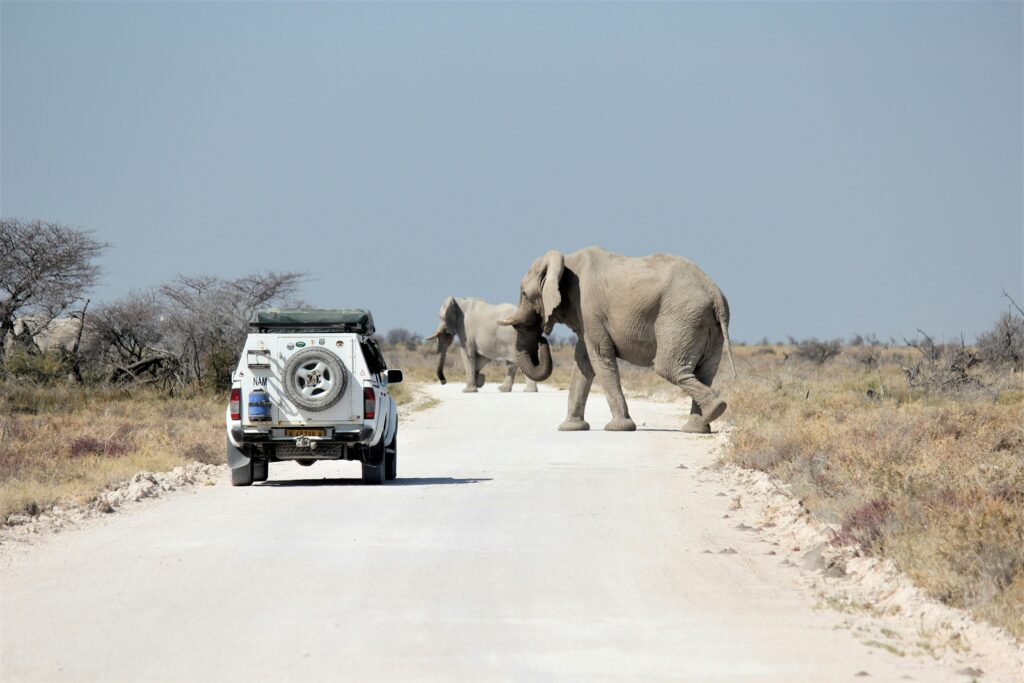 Etosha National Park