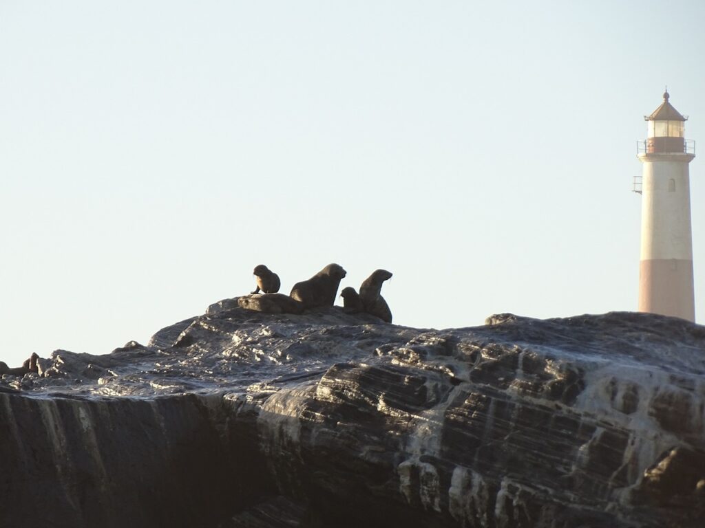 Diaz Point Luderitz