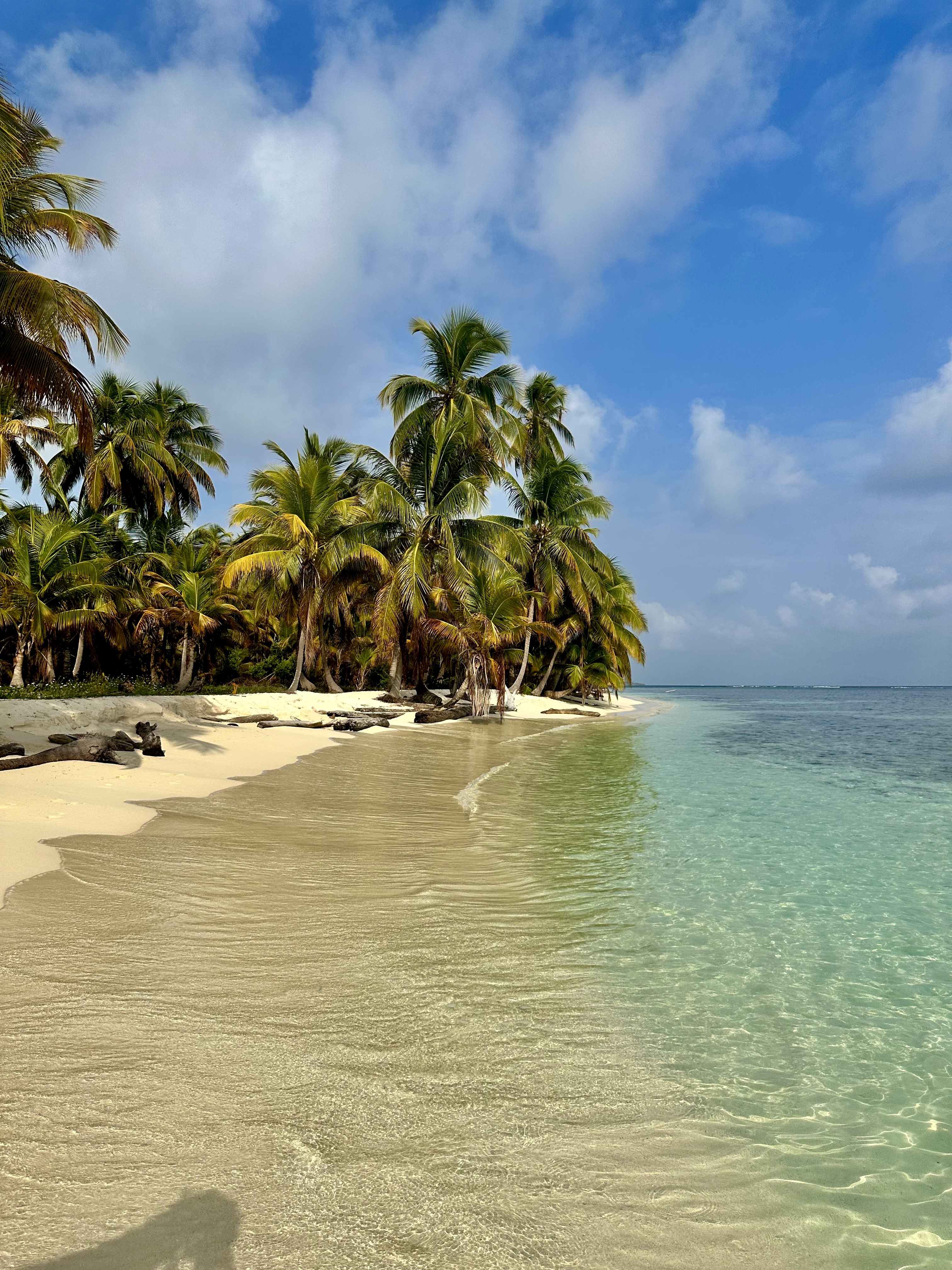 Catamaran in San Blas